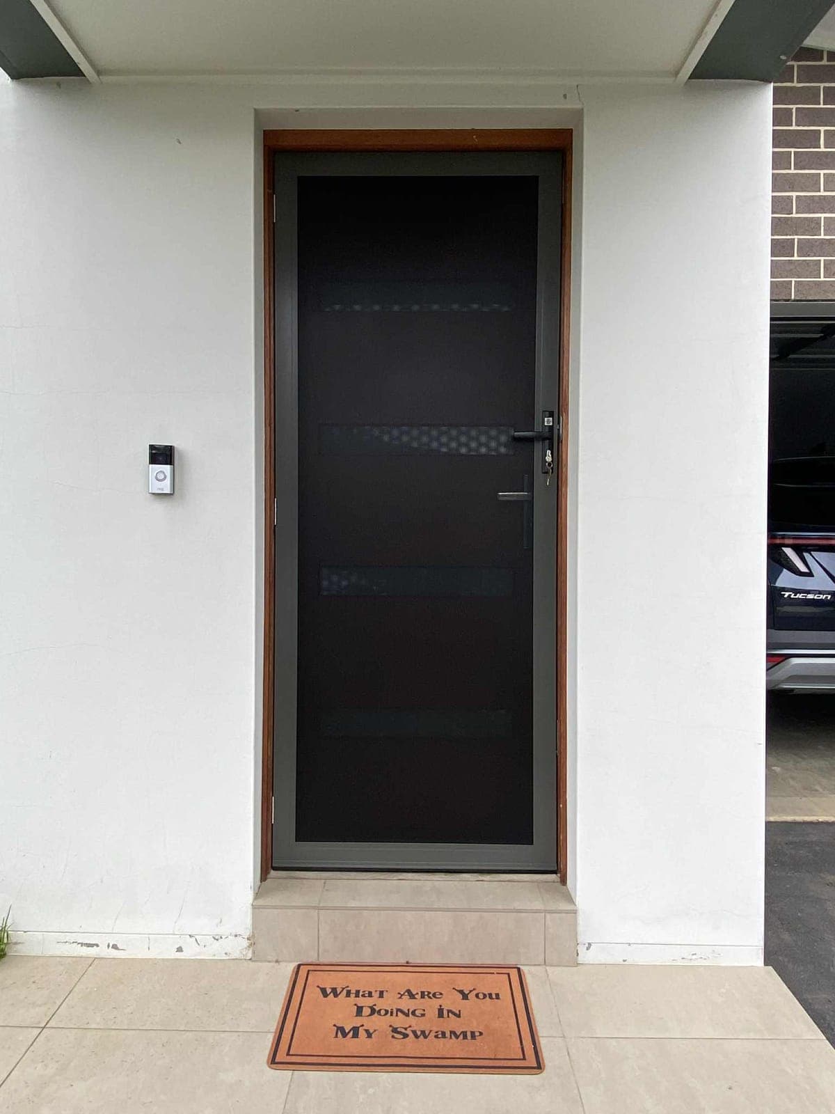Protec security screen door installed by Advanced Security Doors