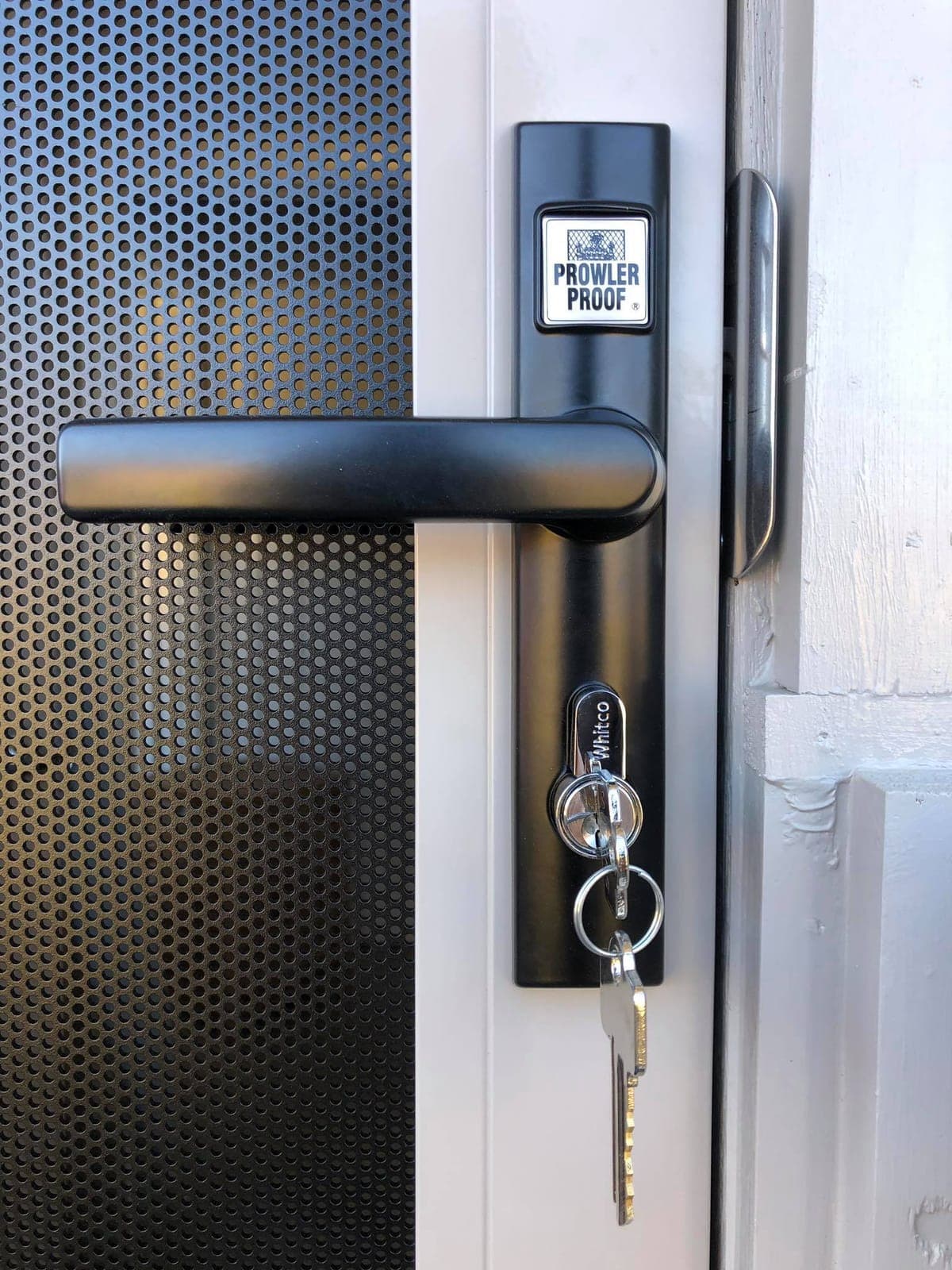 Protec security screen door installed by Advanced Security Doors