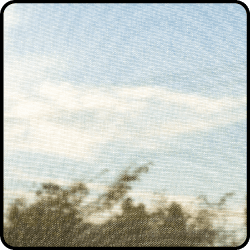 View through a Prowler Proof fly screen — maximum transparency