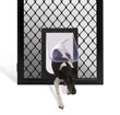 Diamond hinge door options — Petway Pet Door