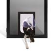 ForceField window option — Petway Pet Door