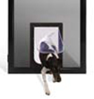 Protec hinge door options — Petway Pet Door